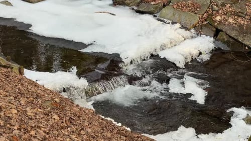 Icy Creek Flows through Winter Forest with Snow