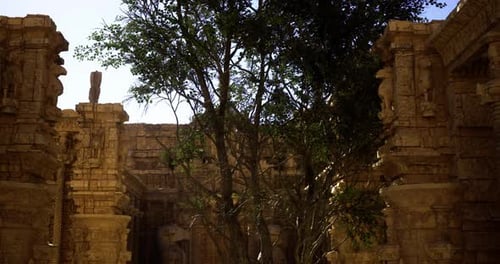 Ruins of Ancient Temple with a Large Tree Under Bright Sunlight