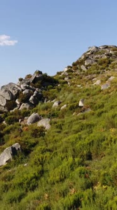 Vertical Video of Mountain