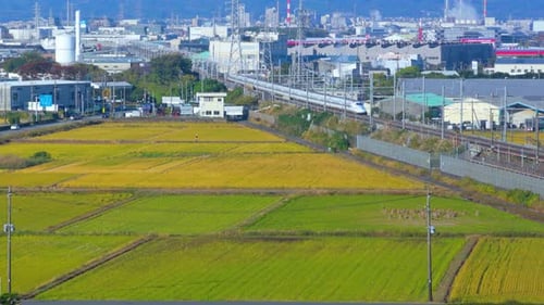 Tren bala que parte de la estación hacia los campos de arroz en Japón