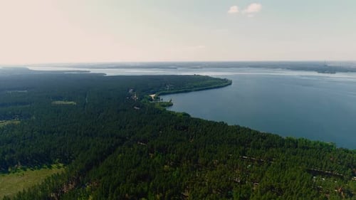 Pine Forest Near River Against Clear Blue Sky Panoramic View