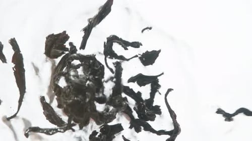 Tea Leaves Falling in Slow Motion Close Up