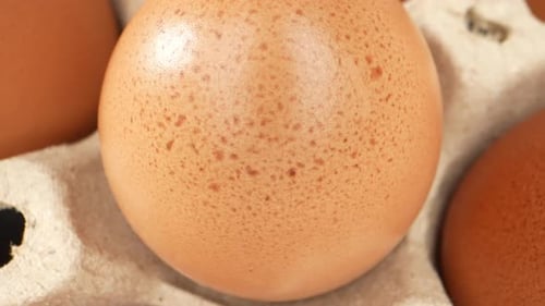 Entdecken Sie die faszinierende Welt der frischen Eier in einem Makrovideo.