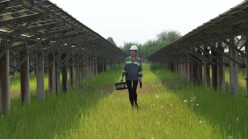 Solar Farm, Engineer electric woman checking and maintenance of solar cells.
