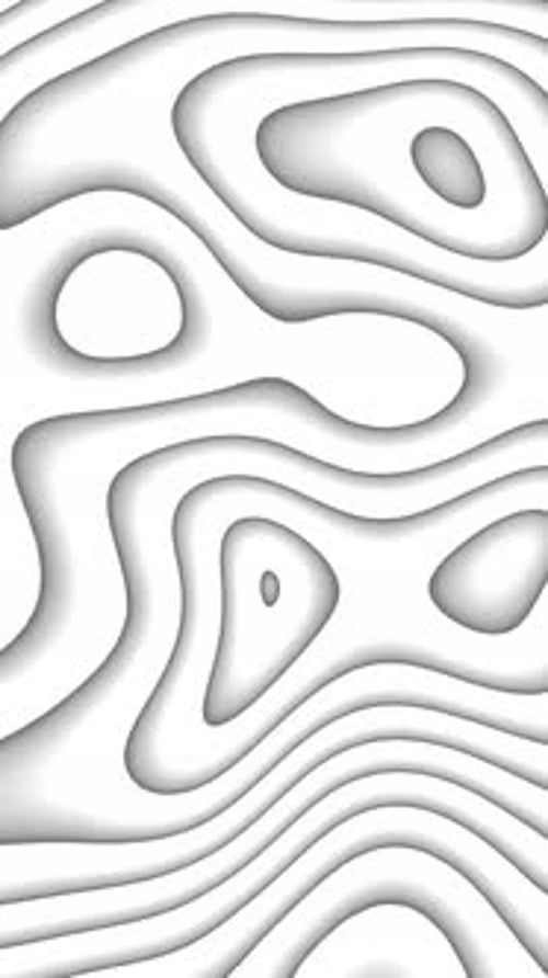Abstract White Fluid Contour Lines Morphing Background