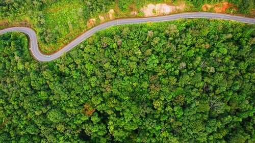 Autos fahren auf kurvenreicher Straße im berggrünen tropischen Regenwald