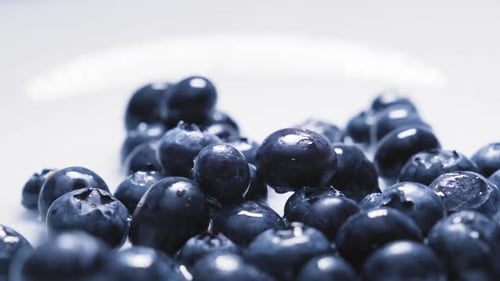 slowmotion of assorted berrys falling on to water