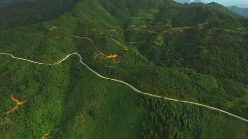 Wilderness, green forest and drone with hills, road and landscape scenery