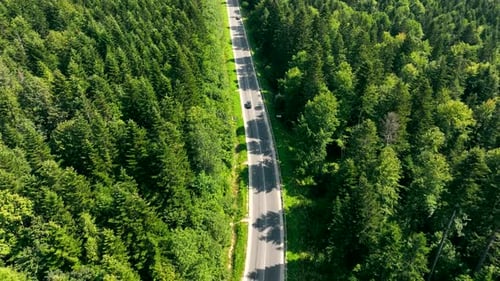 Ein schwarzes Auto fährt auf einer Asphaltstraße inmitten eines dichten grünen Mischwaldes
