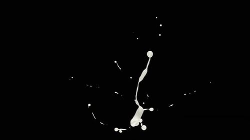 Fluid White Liquid Splash Reveal Animation