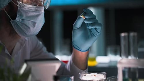 Scientist Handling Sample with Tweezers in Laboratory