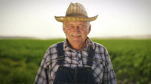 Portrait of Senior Farmer in Beautiful Agricultural Field in Summer in Sunny Day Professional Farm