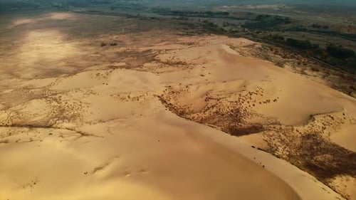 Naturszene am Meer Küstendünen mit fernen Bäumen, sonnenbeschienenem Sand und sanften Küstenkurven Media
