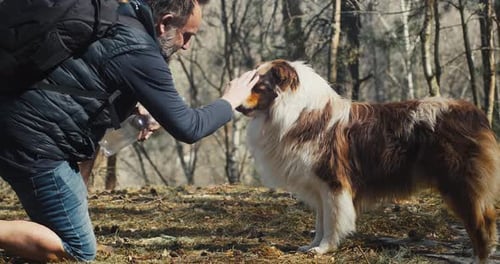Man Gives Treats to Dog in Forest