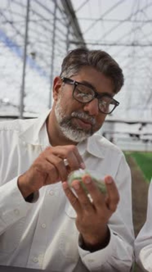 Senior Botanist Examining Plant Specimen in Petri Dish with Tweezers
