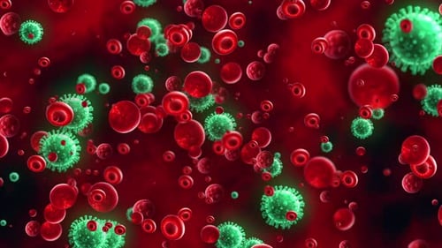 Microscopic Red Blood Cells and Viruses in Bloodstream
