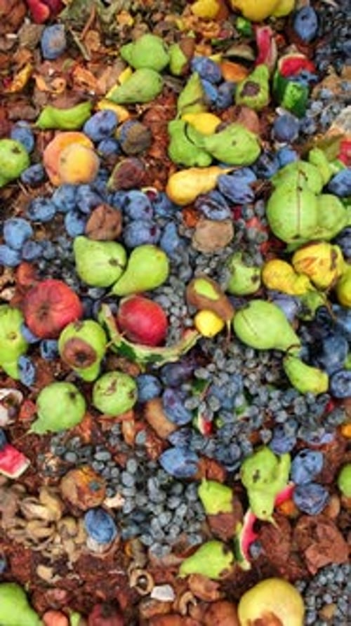 Compostaje ecológico. Reciclaje orgánico de residuos de alimentos en pilas de compost