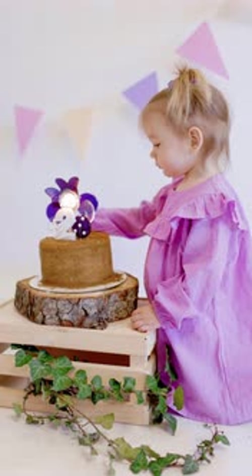 Child With Birthday Cake Looking at Decorations