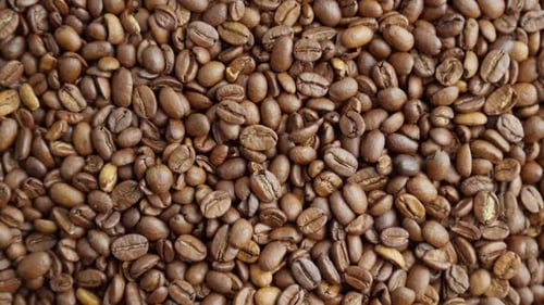 Brown Roasted Coffee Beans Pile of Aromatic Coffee Beans Rich Harvest