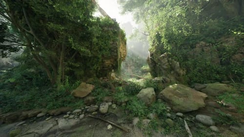 A Serene Forest Landscape with Tall Trees and Scattered Rocks