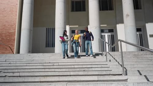 Multiethnic group of college students descending university steps smiling