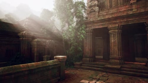 Ruines d'un ancien temple avec un arbre au milieu