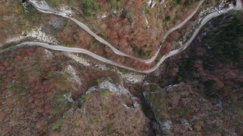 Aerial View of a Autumn Forest Through Which a Winding Road Passes in the Mountains