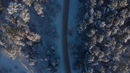 Slowly flying towards the above country road in the middle of the cold snowy winter forest. top down
