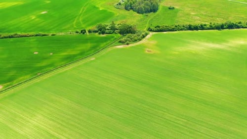 Vue aérienne de la zone agricole et des champs verdoyants ondulés par une journée ensoleillée. Industrie agronomique. Agraria