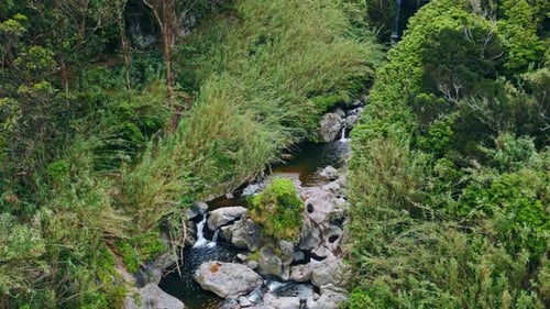 Mountain Cascades Flowing Rocks Drone View Serene Running Creek at Mossy Cliffs