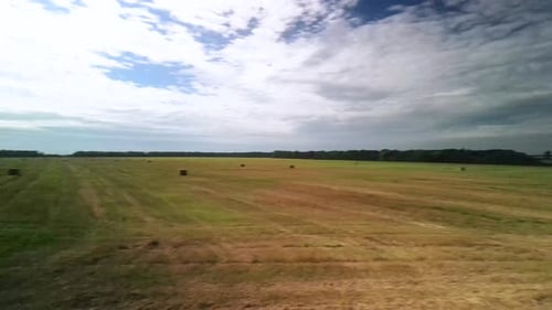 Yellow field with harvested wheat and hay bales. Aerial view of the field with square bales