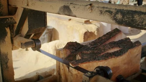 Get a Closeup View of the Skilled Workers at the Sawmill As They Harvest Wood From the Forest