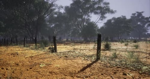 Dry Landscape with Scattered Trees and Abandoned Fence Posts in Australia