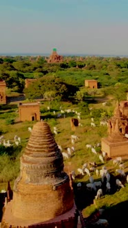 Lever de soleil au-dessus des temples et des pagodes de Bagan, Myanmar