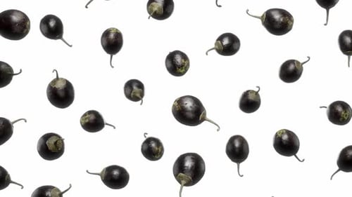 Small Eggplants Falling Seamless Loop