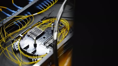 Fiber Optic Cables Connecting Network Device