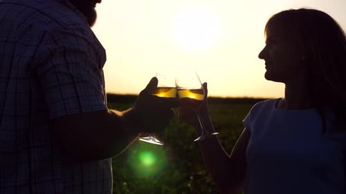 Couple Toasting with Wine at Sunset in Field