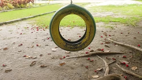 close up of swing from tire.