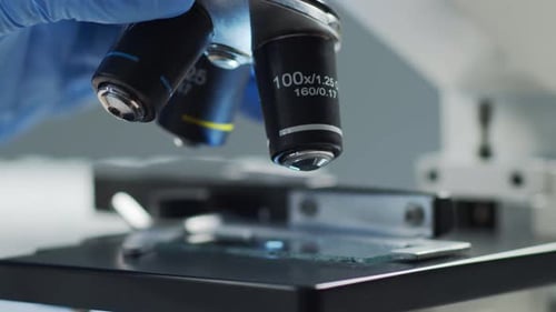 Microscope Being Prepared in Bright Laboratory