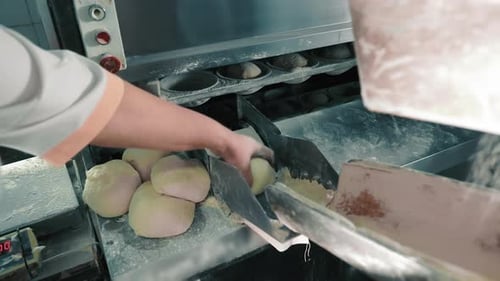 Dough Balls Feeding into Bakery Machine