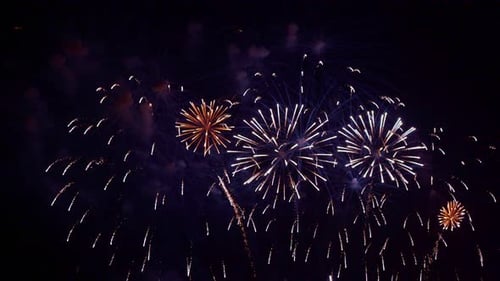 Vibrant Fireworks Bursting in the Night Sky