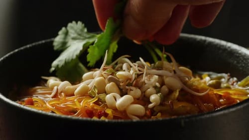 Close Up of Noodles with Sprouts and Cilantro