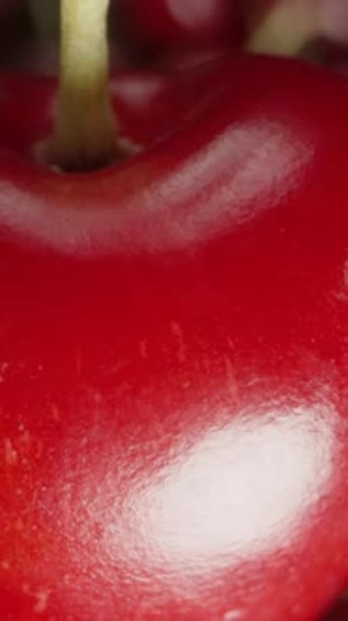 Close Up of Red Fresh Cherries