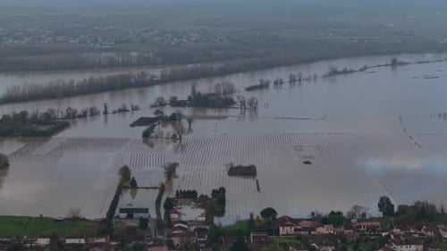 Aerial view of flooded vineyards reflecting the sky, with trees emerging from the water