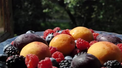 Delicious Assortment of Plums, Apricots, and Berries