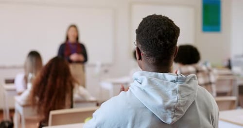 Student Raising Hand in Classroom During Lesson