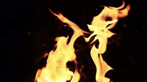 Abstract Flames Igniting on Black Background