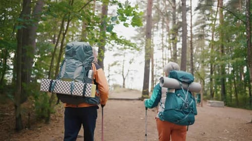 Senior Hikers Hike in Nature Autumn Park Holding Sticks in Hands Tourists Man Woman Trekking