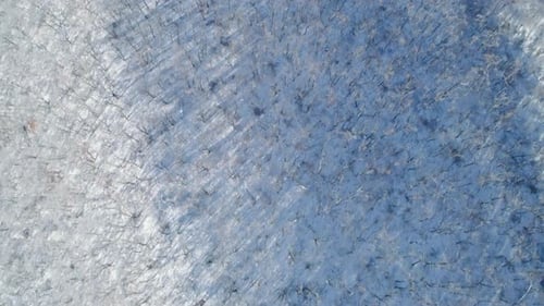Aerial View of a Frozen Forest with Snow Covered Trees at Winter Flight Above Winter Forest Aerial