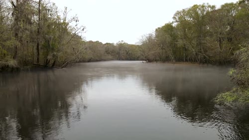 Light fog covering a dark calm river and a fallen tree blocking the river
